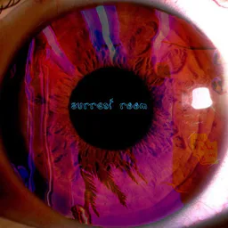 Surreal room