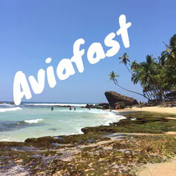 Авиаперевозки -Skyfast