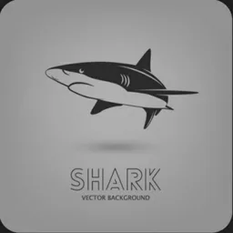 MONEY SHARK
