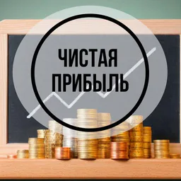 ЧИСТАЯ ПРИБЫЛЬ