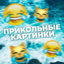 Прикольные картинки/видео