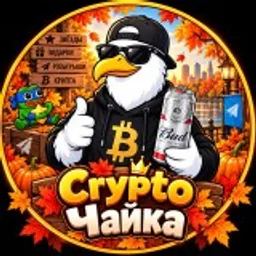 Crypto Чайка