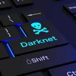 Dark net