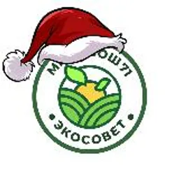 канал экосовета СОШ 71