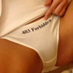 error 403 forbidden
