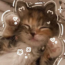 ⋆｡‧˚ʚ 𝑒𝓈𝓉𝒽𝑒𝒹𝒾𝒶 ɞ˚‧｡⋆ | Premium emoji | Themes | Wallpapers | Премиум эмоджи / эмодзи | Стикеры | Темы | Обои
