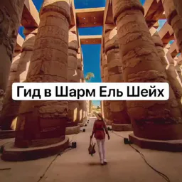 Тот самый Египет. Экскурсии в Шарм Эль Шейх, Лена гид в Египте .
