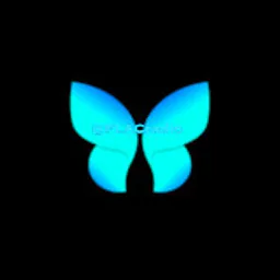Electronic FLAC Music