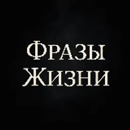 Фразы Жизни 🍂🍁☂️