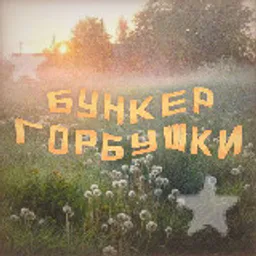 Бункер Горбушки