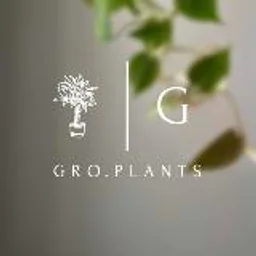 GRO.PLANTS - растения Казань 🌿