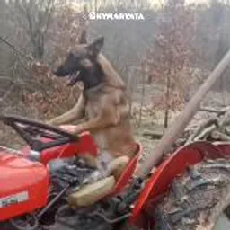 мемные кружочки