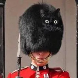 Лига ЕЕЕ