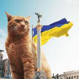 Meow News 🇺🇦