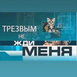" — netrezvii — Telemetr - netrezvii</title>

        <link rel="preload" as="script" href="/templates/assets/lib/js/jquery-3.4.1.min.js">

    <script src="https://browser.sentry-cdn.com/10.19.0/bundle.tracing.min.js" integrity="sha384-zbuHaHXLSVPvJOVRd6SITV/fj+tY6EnwhO5Jcomq/NlaQi9Igr5d/RZd9PCPm3yV" crossorigin="anonymous"></script>
    <script>
                if (typeof Sentry !== 'undefined') {
            Sentry.init({
                dsn: 'https://cf4d2131fe97576bf3a02da97da58f08@sentry.ch20a.tmtr.io/4',
                environment: 'prod',
                tracesSampleRate: 0.1,
                sendDefaultPii: 1,
                integrations: [Sentry.browserTracingIntegration()]
            });
                    }
    </script>


            
    <script>
        var _userUsesNewDesign =  false ;
        window.user = {
            'isAuthorized': false,
            'isStaff': false,
            'metrikaSegment': 'guest',
            'data': {
                'registered_at': null            },
            'tariff': [],
                        'demo': null        };
    </script>

        
    
        
    
    <link href="/templates/assets/vendors/general/bootstrap-select/dist/css/bootstrap-select.css" as="style"
          rel="stylesheet preload prefetch"/>
    <link href="/templates/assets/vendors/general/bootstrap-switch/dist/css/bootstrap3/bootstrap-switch.css" as="style"
          rel="stylesheet preload prefetch"/>
    <link href="/templates/assets/vendors/general/select2/dist/css/select2.css" as="style"
          rel="stylesheet preload prefetch"/>
    <link href="/templates/assets/vendors/general/socicon/css/socicon.css" as="style"
          rel="stylesheet preload prefetch"/>
    <link href="/templates/assets/vendors/custom/vendors/line-awesome/css/line-awesome.css" as="style"
          rel="stylesheet preload prefetch"/>
    <link href="/templates/assets/vendors/custom/vendors/flaticon/flaticon.css" as="style"
          rel="stylesheet preload prefetch"/>
    <link href="/templates/assets/vendors/custom/vendors/flaticon2/flaticon.css" as="style"
          rel="stylesheet preload prefetch"/>
    <link href="/templates/assets/vendors/general/@fortawesome/fontawesome-free/css/all.min.css" as="style"
          rel="stylesheet preload prefetch"/>

    <link href="/templates/assets/css/demo1/style.bundle.css?v=2" as="style" rel="stylesheet preload prefetch"/>

    <link href="/public/build/css/legacy.Cu-1PaNt.min.css" as="style" rel="stylesheet preload prefetch"/>

    <script src="/templates/assets/lib/js/jquery-3.4.1.min.js"></script>
        <script>
        window.jQuery || document.write('<script src="/templates/assets/lib/js/jquery-3.4.1.min.js?retry=1"><\/script>');
    </script>
    <script src="/templates/assets/lib/js/popper.min.js"></script>
    <script src="/templates/assets/lib/js/bootstrap.min.js"></script>
    <script src="/templates/assets/lib/js/js.cookie.js"></script>
    <script src="/templates/assets/lib/js/perfect-scrollbar.js"></script>

    <script src="/templates/assets/lib/js/typeahead.bundle.min.js" rel="preload" as="script"></script>
    <script src="/templates/assets/lib/js/handlebars.min.js" rel="preload" as="script"></script>

    <!--end:: Global Mandatory Vendors -->
    
    
    <style type="text/css">
        .kt-notification__item.bg-dark::after {
            display: none;
        }

        .form-control-highlighted-danger {
            border-color: #dc3545 !important;
            padding-right: 1rem;
            background-repeat: no-repeat;
            background-position: center right calc(0.375em + 0.325rem);
            background-size: calc(0.75em + 0.65rem) calc(0.75em + 0.65rem);
        }

        @media (max-width: 1024px) {
            #btn_auth {
                padding-top: 6px !important;
            }
        }
    </style>

        
        
    <link href="/public/build/css/darkmode_legacy.PEmzxNP-.min.css"
          rel="stylesheet"
          data-dark-theme
          disabled    />
    <link href="/public/build/css/darkmode.D2pzKTd4.min.css"
          rel="stylesheet"
          data-dark-theme
          disabled    />

    <script>
        document.addEventListener('DOMContentLoaded', () => {
            document.addEventListener('click', (event) => {
                const button = event.target.closest('#button-copy-promo-code');
                if (!button) {
                    return;
                }

                const promoCode = document.getElementById('promo-code-ya-business');
                const temp = document.createElement('input');
                document.body.appendChild(temp);
                temp.value = promoCode ? promoCode.textContent : '';
                temp.select();
                document.execCommand('copy');
                temp.remove();

                button.textContent = 'Тест скопирован!';
            });
        });
    </script>

    <script type="module" src="/public/build/js/main.DPMukYYB.min.js" defer></script>

        </head>


<div class="auth-block">
    
            <div id="modal_start_auth_tg" class="modal fade auth-modal" tabindex=