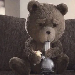 🔞БАЛДЕЖНЫЙ МЕДВЕДЬ🔞