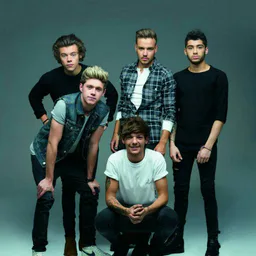 ~OneDirection~