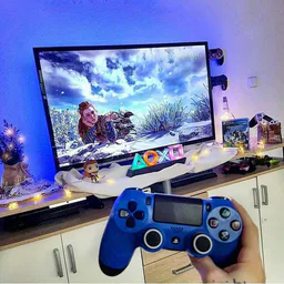 PlayStation 4 Fan