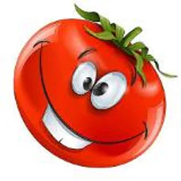 Помидоры в рагу 🍅🍅🍅