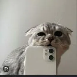 Приколы с котами и собачками😄