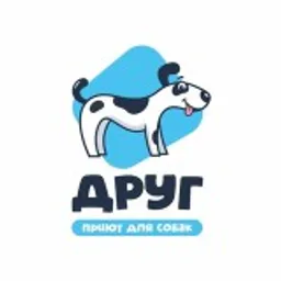 Приют «Друг», Спб