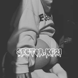 🕸sector kg21🕸