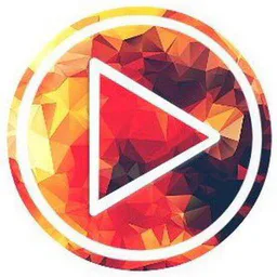 THE BEST VIDEO