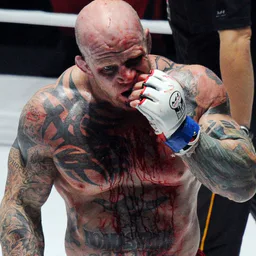 UFC RUSSIA MMA Бои без правил