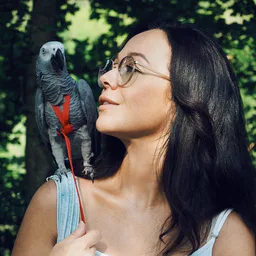 @vinci_africangrey