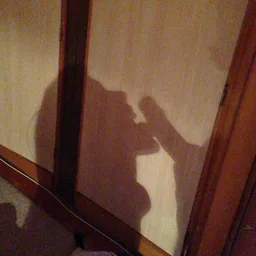 ВПИСКА LIFE