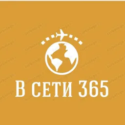 В сети 365